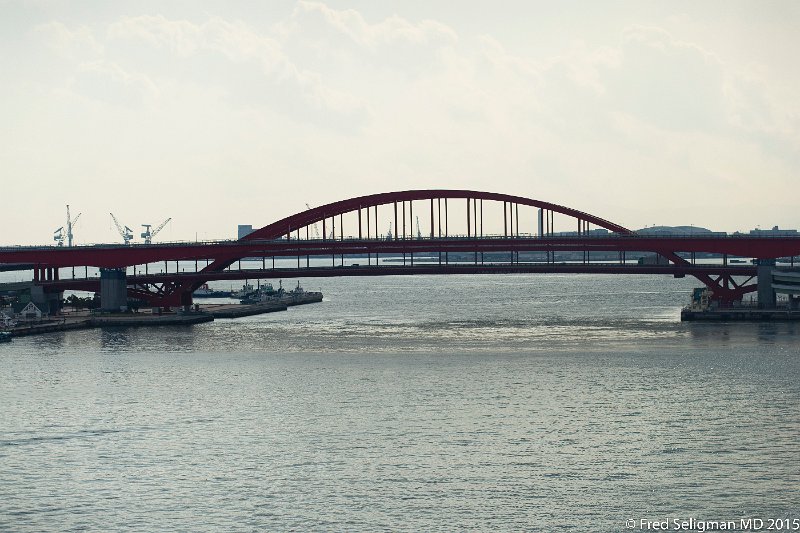 20150314_150209 D3S.jpg - Kobe Oshahi Bridge